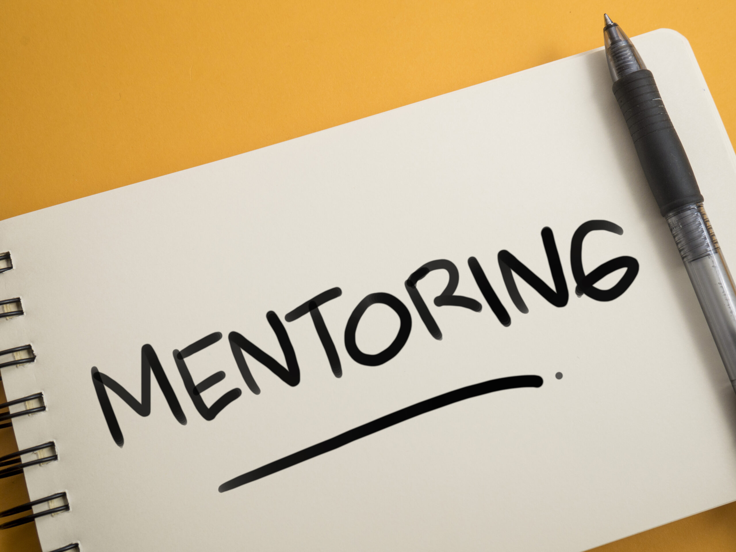Program mentoringowy - Anna Kubalska